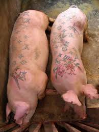 Some people can experience blistering and crusting as well. Tattoo Removal Blisters Tattoo Art Gallery