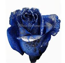 We did not find results for: Pin On Roses