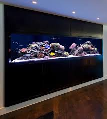 20 Of The Coolest Wall Fish Tank Designs Fish Tank Design Aquarium Design Fish Tank Wall