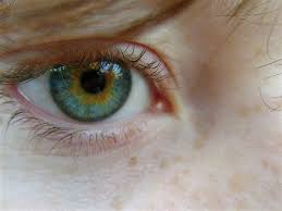 Heterochromia is determined by the production, delivery, and concentration of melanin (a pigment). Tumblr Lqeow9d30v1r25kdvo1 500 Jpg 500 375 Pixels Heterochromia Heterochromia Iridum Central Heterochromia