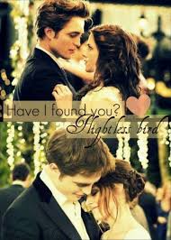Have I Found You Flightless Bird Twilight Movie New Twilight Twilight Series