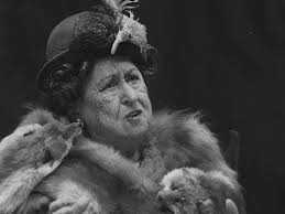 A Profile of Babette Stephens