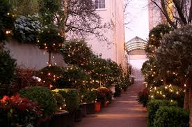 The Designer Garden Shop Clifton Nurseries Living Greenery Garden Design