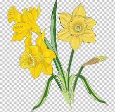 Pin On Spring Flowers