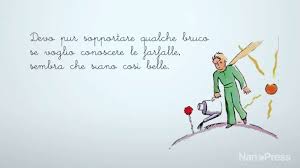 Frasi Di Compleanno Tratte Da Libri
