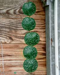 Image result for Selaginella imbricata