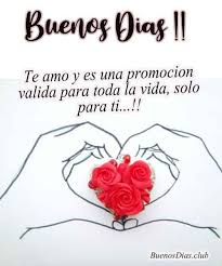 Imagenes Amor Buenos Dias Frases 11 Imagenes De Buenos Dias Y Frases De Vida En 2020 Mensajes De Amor Frases Buenos Dias Amor Imagenes Buenos Dias Amor