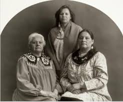 Image result for Ouratea andongensis