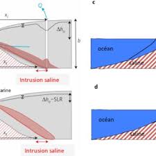 Suggest as a translation of le niveau de la mer. 5 Vue Shematique De L Impact D Une Elevation Du Niveau De La Mer Et Download Scientific Diagram