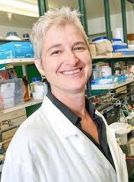 Name Droppers: Three UC Davis scholars receive scientific honors