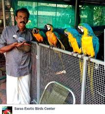 Check spelling or type a new query. Great Place Review Of Saras Exotic Birds Center Alappuzha India Tripadvisor