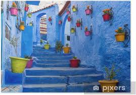 Book your tickets online for chefchaouen medina, chefchaouen: Poster Blaue Treppe Und Wand Mit Bunten Blumentopfe Medina Chefchaouen In Marokko Pixers Wir Leben Um Zu Verandern