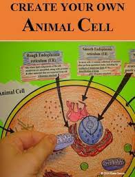 Create your own animal cell and plant cell. Animal Cell Organelle Cut And Paste By Mrs G Classroom Tpt