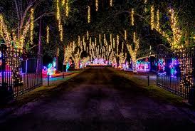 Maybe you would like to learn more about one of these? Flowers Foods Presents Christmas In Lights Local News Timesenterprise Com
