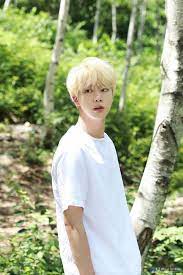 Pin By Keyla Bustamante On Bts Blonde Hair Jin Foto Jungkook Kim Seokjin