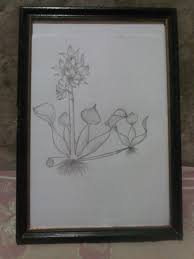 Maybe you would like to learn more about one of these? 33 Gokil Abis Gambar Dua Dimensi Bunga