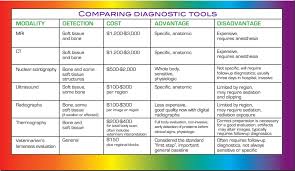 Comparison To Other Modalities Red Arrow Equine Thermal