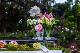 We did not find results for: Welche Blumen Gibt Es Wann Hochzeitsblog
