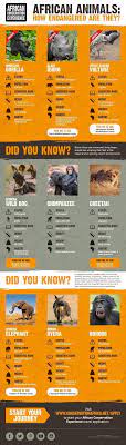 African Animals How Endangered Are They Infographic African Conservation Experience Wildlife Facts African Animals Animal Conservation