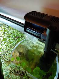 Aquaexpose Adli Kullanicinin Sump Panosundaki Pin Akvaryum