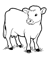 Color the cow with your child, and make as many this cute coloring page has plenty of fine motor skill practice for your preschooler. Coloring Cow Drawing Colour Novocom Top