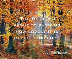 The Trees Are About To Show Us Autumn Fall Air October Crisp Octobers Nature Quotes Trees Autumn Quotes Inspirational This Is Us Quotes