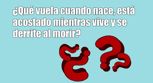 Bienvenido a la web de los test de inteligencia con muchos juegos de inteligencia diferentes para hacerlos online y gratis de todo tipo. 5navpxlqasvazm