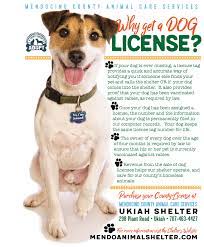 All dogs three months or older must be licensed by january 1 of each year. Dog License Information Mendocino County Ca