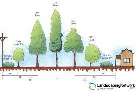 Maybe you would like to learn more about one of these? 5 Planting Mistakes Avoid Damage To Utilities Pipes Etc Landscaping Network