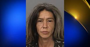 Redding firefighters arrest woman for arson of forestland