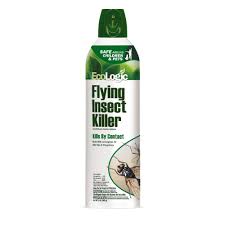 Here is a short clip of the common gecko found in many regions of the world. Ecologic 14 Oz Flying Insect Killer Aerosol Hg 75001 The Home Depot