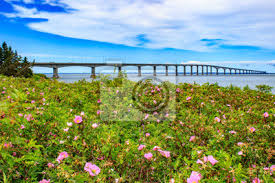 We would like to show you a description here but the site won't allow us. Konfederacja Tapety Myloview Pl