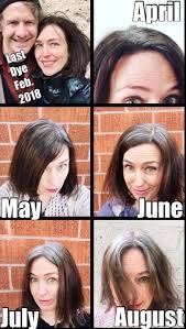 6 Months With No Hair Dye And Loving Every Minute Of It Growing Out Hair Covering Gray Hair Gray Hair Growing Out