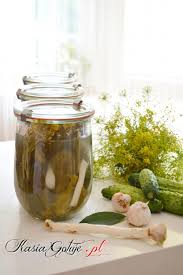 Ogorki kiszone (w solonej wodzie z koprem, czosnkiem i pieprzem) pickles (cucumbers pickled in vinegar) are called in polish ogorki konserwowe (w zalewie. Ogorki Kiszone Wedlug Starej Receptury Kasia In