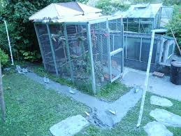 Wachteln im garten halten und pflegen wachteln. Grosse Aussenvoliere Fur Sittiche Bauanleitung Zum Selberbauen 1 2 Do Com Deine Heimwerker Community