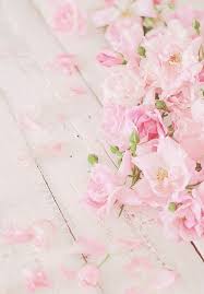 Bloom Some Beauty Flower Wallpaper Rose Wallpaper Pink Flowers