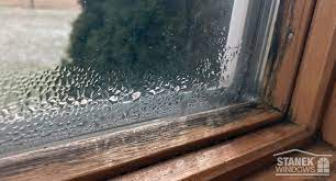 To further prevent mold growth on your windows, it is essential to regularly clean your home's interior. How To Prevent Mold Growth On Window Sills