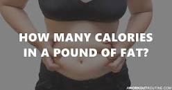 How Many Calories In A Pound Of Fat? (And How To Lose It!)