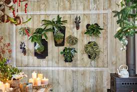 Sometimes the best holiday decorations weren't necessarily meant as decor. Festive Decor Ideas With Plants