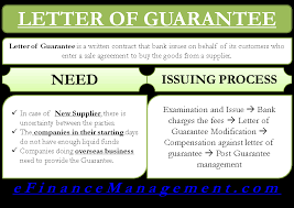 A guarantee means giving something as security. Letter Of Guarantee Process Of Issue Efinancemanagement