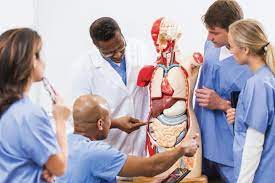 Questions To Ask Your Future Medical School Medical School Pediatrician Medical Education