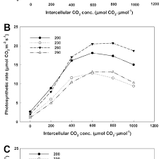 They do however, contain chlorophyll which give them the ability to perform photosynthesis; Effect Of Light Intensity And Photoperiod On Photosynthetic Rate Of Download Scientific Diagram