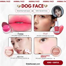 Do you have a 🐶 dog, 🐱 cat, 🦊 fox, or 🐰 rabbit face?! Here are some  quick K-makeup recommendations to fit your face type! 😊 #animalfaceetype  #koreanface #animalface #dogface #catface #rabbitface #