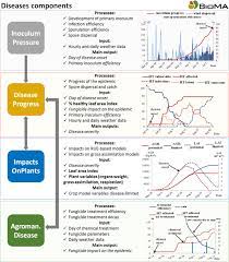 How is pest and disease a problem to farmers. Modelling The Impacts Of Pests And Diseases On Agricultural Systems Sciencedirect