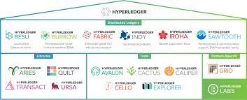Hyperledger fabric, an open source project from the linux foundation, is the modular blockchain framework and de facto standard for enterprise blockchain platforms. Blockchain Technology Projects Hyperledger