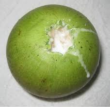 Pin On Vegan Articles