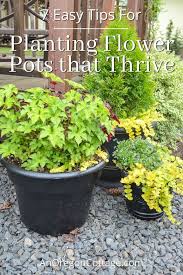 Check spelling or type a new query. 7 Tips For Planting Flower Pots That Thrive All Season An Oregon Cottage