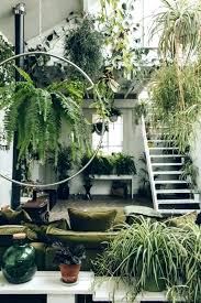 The Best Hanging Plants For Lazy Beginner And Interiors Obsessed Gardeners Room With Plants Jungle House Plants