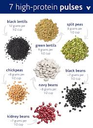 7 pulses that are high in protein whats good by v