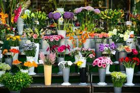 Entrepreneur Decouvrez Dans Ce Guide Comment Faire Une Etude De Marche Pour Un Fleuriste De Facon Concr Etude De Marche Fleuriste Analyse De La Concurrence
